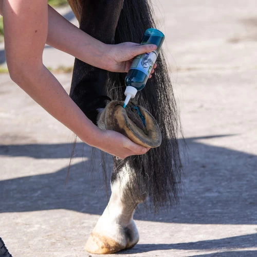 Equi Protecta Blue Wonder Gel – Bild 2