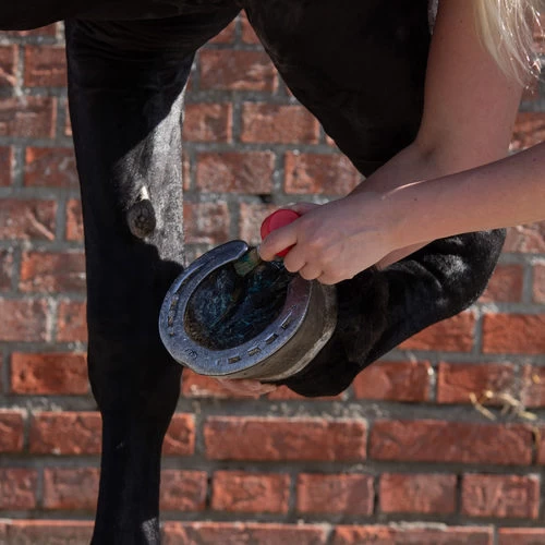 Equi Protecta Blue Wonder Gel – Bild 3