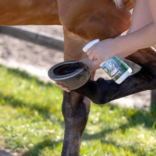 Equi Protecta Huf-Spray â Bild 3