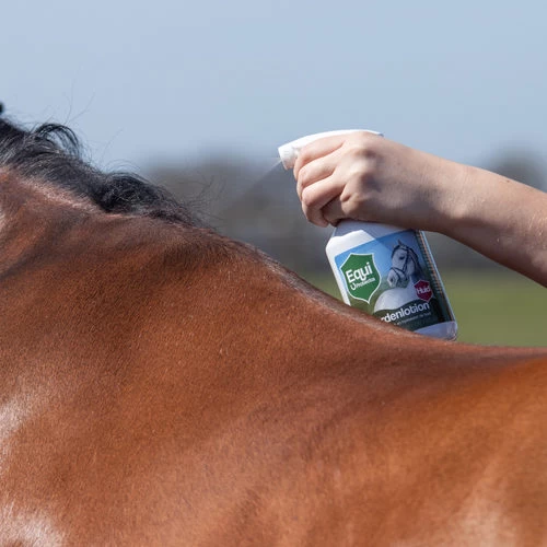 Equi Protecta Pferde-Lotion – Bild 3