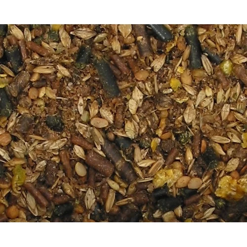 Bonpard Mare & Foal – Bild 2