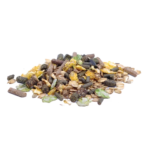 Pavo Cerevit – Bild 2