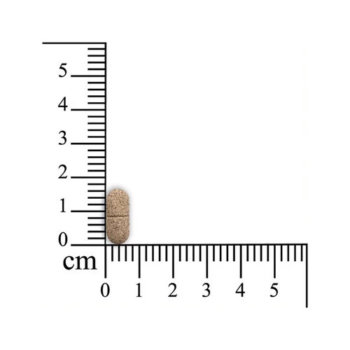 Pulmitranq Pferd â Bild 3